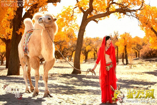 ���������֣����˵�Ӱ��Ӣ�ۡ������