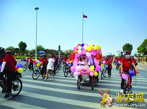 ͼ/��������