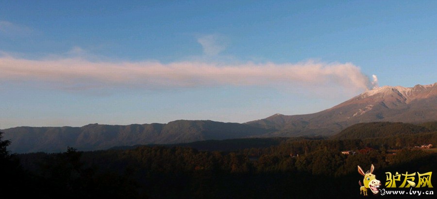 29���糿����Ԯ��Ա����չ���Ѿ�