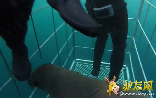 һֻ���ڶ������ĺ����ν���ǱˮԱ�ķ������С�ͼΪ������Ƶ��ͼ��