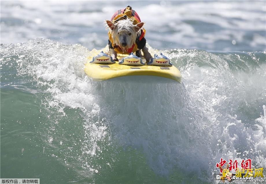 ������9��30�յ�  ����ý������28�գ����������������ݺ�͢�ٺ�̲�����˵����조���˳��г��˹�����������·�������˺��ָ�����ͨ��