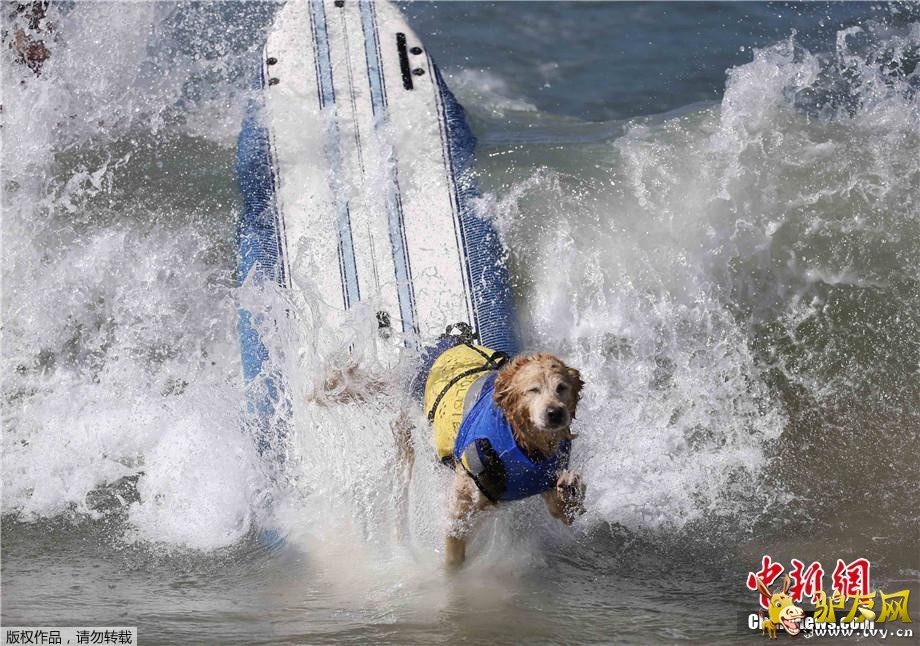 ������9��30�յ�  ����ý������28�գ����������������ݺ�͢�ٺ�̲�����˵����조���˳��г��˹�����������·�������˺��ָ�����ͨ��