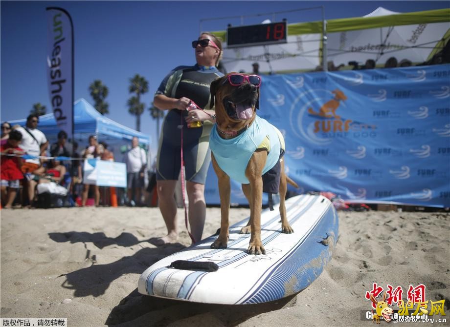 ������9��30�յ�  ����ý������28�գ����������������ݺ�͢�ٺ�̲�����˵����조���˳��г��˹�����������·�������˺��ָ�����ͨ��