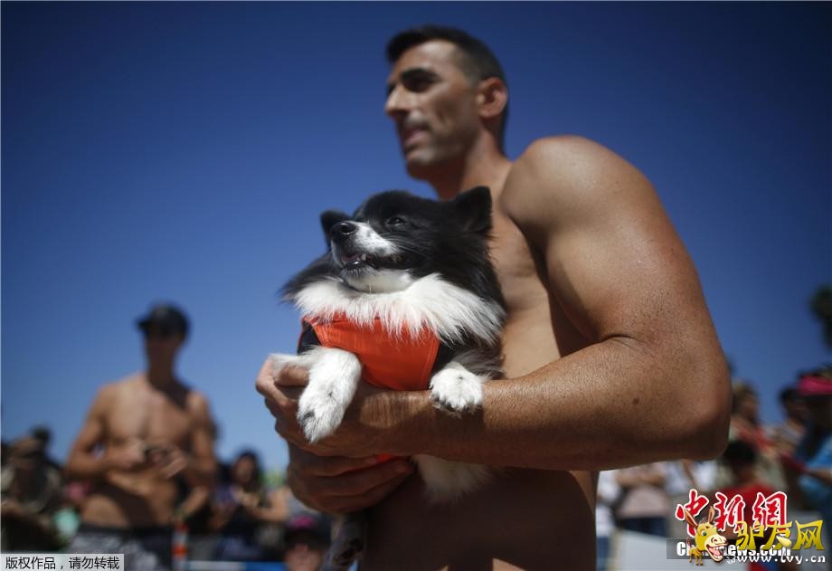 ������9��30�յ�  ����ý������28�գ����������������ݺ�͢�ٺ�̲�����˵����조���˳��г��˹�����������·�������˺��ָ�����ͨ��