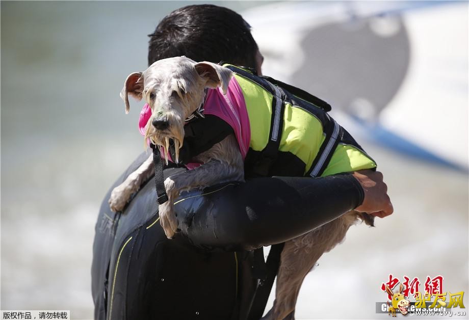 ������9��30�յ�  ����ý������28�գ����������������ݺ�͢�ٺ�̲�����˵����조���˳��г��˹�����������·�������˺��ָ�����ͨ��