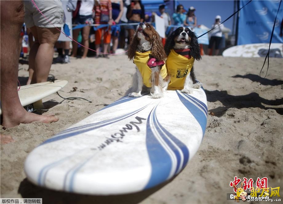 ������9��30�յ�  ����ý������28�գ����������������ݺ�͢�ٺ�̲�����˵����조���˳��г��˹�����������·�������˺��ָ�����ͨ��