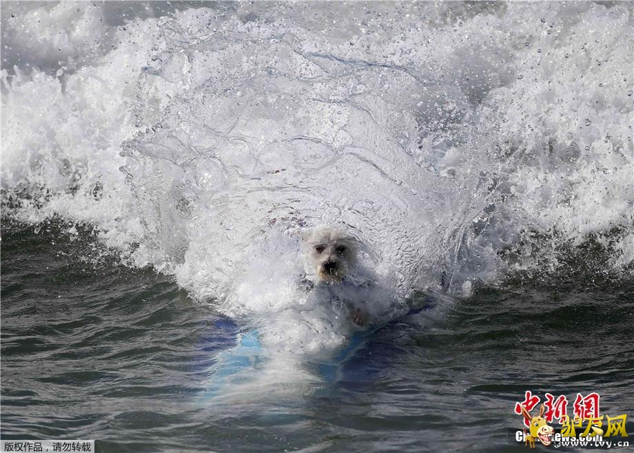 ������9��30�յ�  ����ý������28�գ����������������ݺ�͢�ٺ�̲�����˵����조���˳��г��˹�����������·�������˺��ָ�����ͨ��