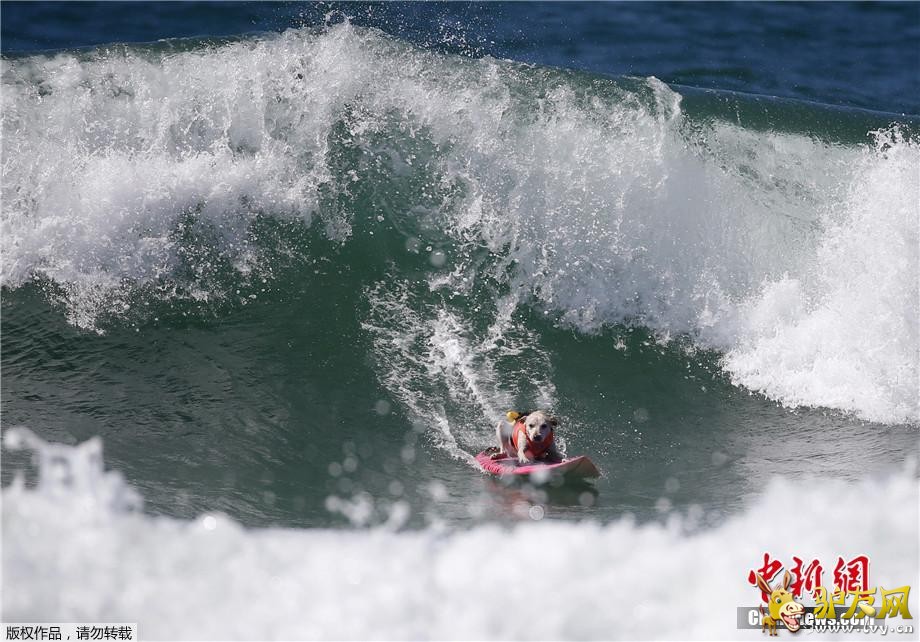 ������9��30�յ�  ����ý������28�գ����������������ݺ�͢�ٺ�̲�����˵����조���˳��г��˹�����������·�������˺��ָ�����ͨ��