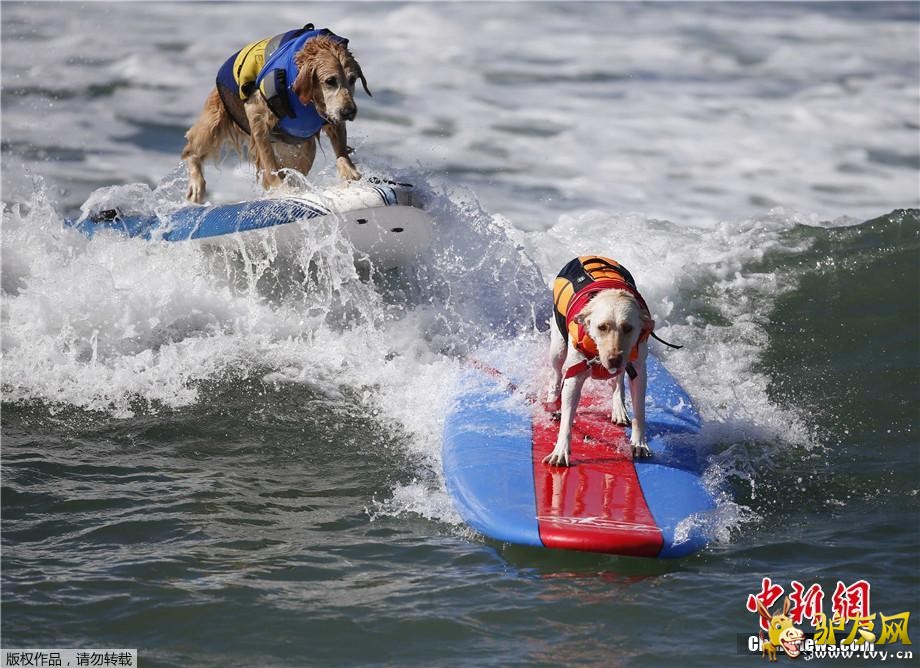 ������9��30�յ�  ����ý������28�գ����������������ݺ�͢�ٺ�̲�����˵����조���˳��г��˹�����������·�������˺��ָ�����ͨ��