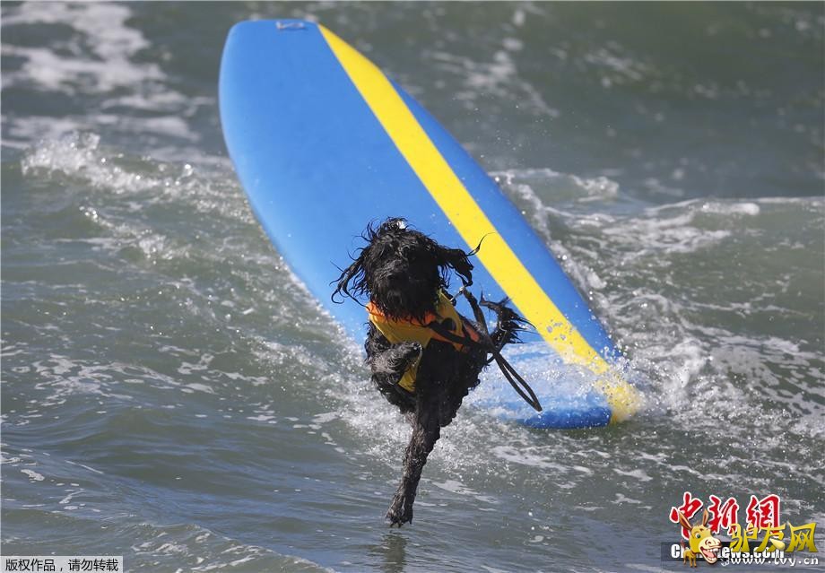 ������9��30�յ�  ����ý������28�գ����������������ݺ�͢�ٺ�̲�����˵����조���˳��г��˹�����������·�������˺��ָ�����ͨ��