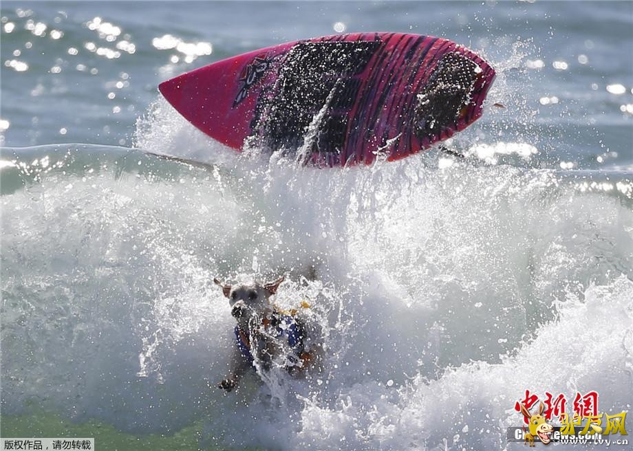 ������9��30�յ�  ����ý������28�գ����������������ݺ�͢�ٺ�̲�����˵����조���˳��г��˹�����������·�������˺��ָ�����ͨ��