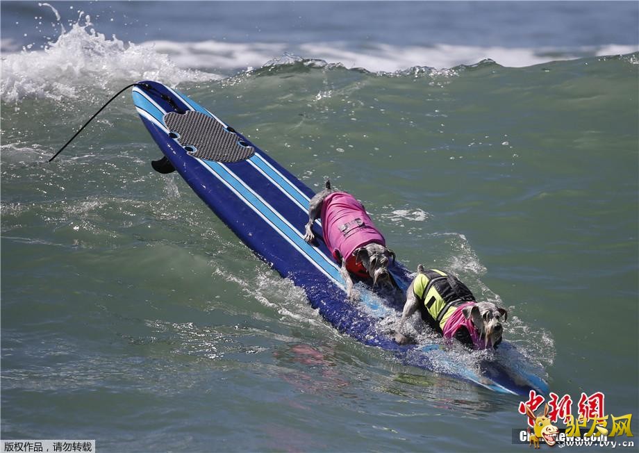 ������9��30�յ�  ����ý������28�գ����������������ݺ�͢�ٺ�̲�����˵����조���˳��г��˹�����������·�������˺��ָ�����ͨ��