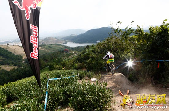 ѡ����ɽ���ٽ������з�Ծ�����ϵ�����