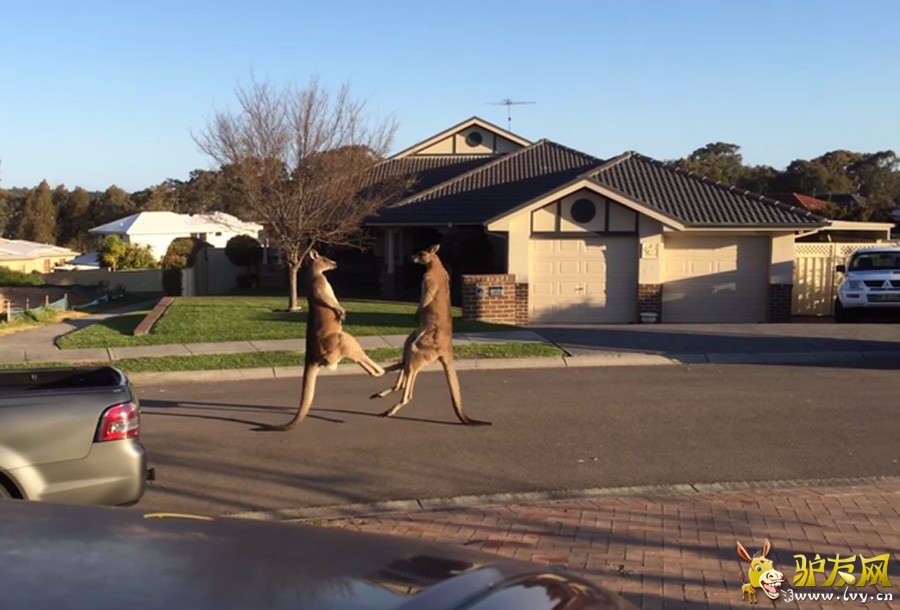 ����ý��ǰ��������ͨ�˽�ͷ��ܾ�������������ֻ�����ڹ��컯���µ��ִ����־���Щ�ټ��ˡ����գ������ĵ���ֻ�������Դ����ڰĴ�������������ʿ�ݵĴ���Ϲ�Ȼ��Ź����ӡ�