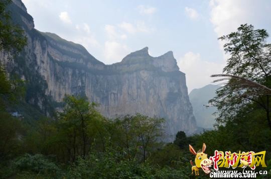 �෽������ʧ��¿��չ���Ѿ� ���� ��