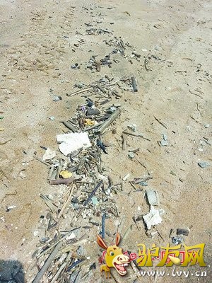 ɳ̲�������������ˡ�