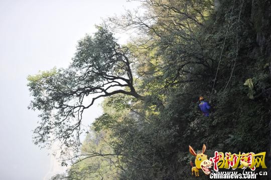 �����Ԯ�Ӷ�Ա����������ǰ��׼���� ��ӱ ��