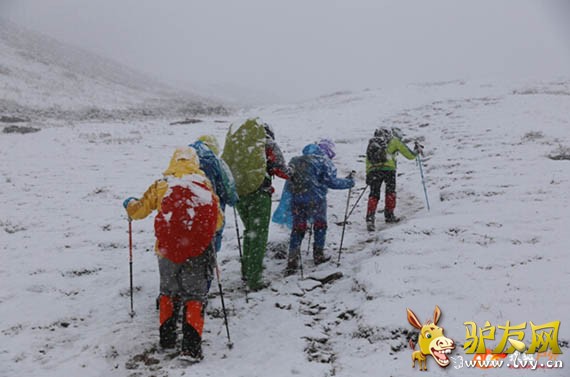 �ʵ�;��ǡ���ѩ