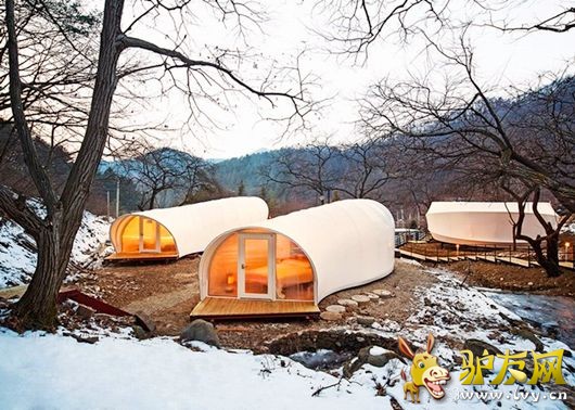 ¶ӪҲ�ݻ� �����ȼ�ʤ�ص���������