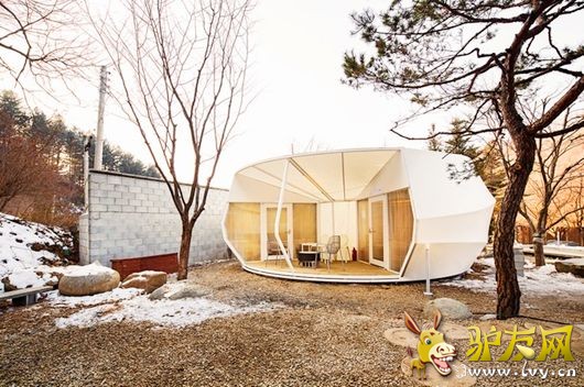 ¶ӪҲ�ݻ� �����ȼ�ʤ�ص���������