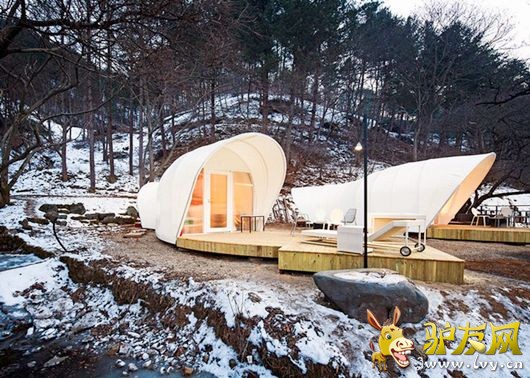 ¶ӪҲ�ݻ� �����ȼ�ʤ�ص���������