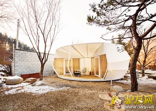 ¶ӪҲ�ݻ� �����ȼ�ʤ�ص���������