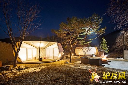 ¶ӪҲ�ݻ� �����ȼ�ʤ�ص���������