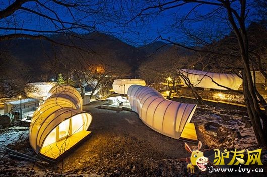 ¶ӪҲ�ݻ� �����ȼ�ʤ�ص���������