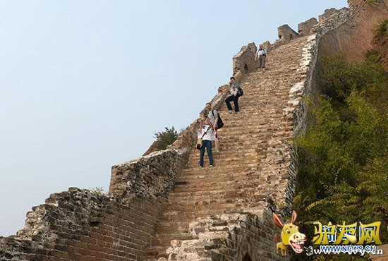 ¿������� ����