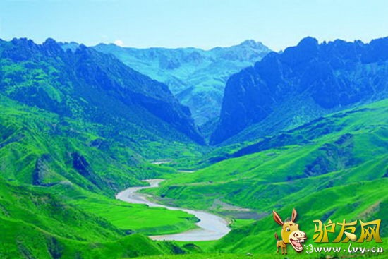 ���ﳤ����һ��