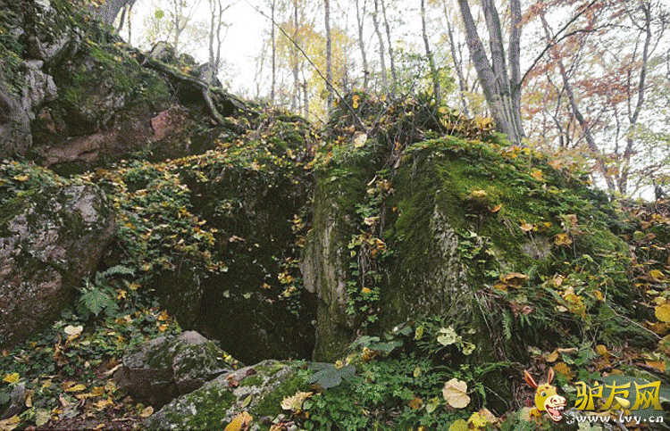 ˹�工����Ӱʦ�޲��ء���÷��˵����ʱ��������������̽�գ�żȻ�����������������Ѩ���� 