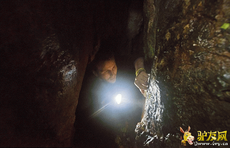 ˹�工����Ӱʦ�޲��ء���÷��˵����ʱ��������������̽�գ�żȻ�����������������Ѩ���� 