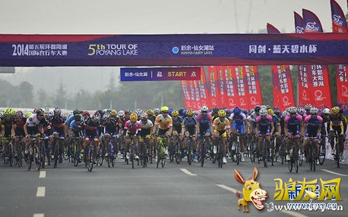 ¿�������������