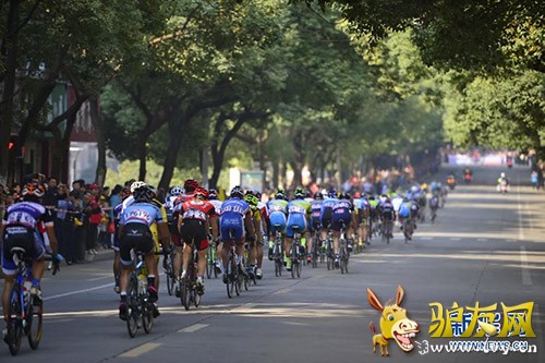  ¿�������������