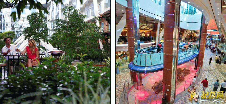 ������������֡��������ޡ�����ǰ�״ε���Ӣ����