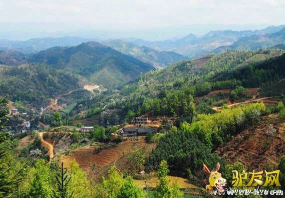 2014�й�ǭ���ϻ�����ֹ��ʳ���ͽ����ἴ����Ļ