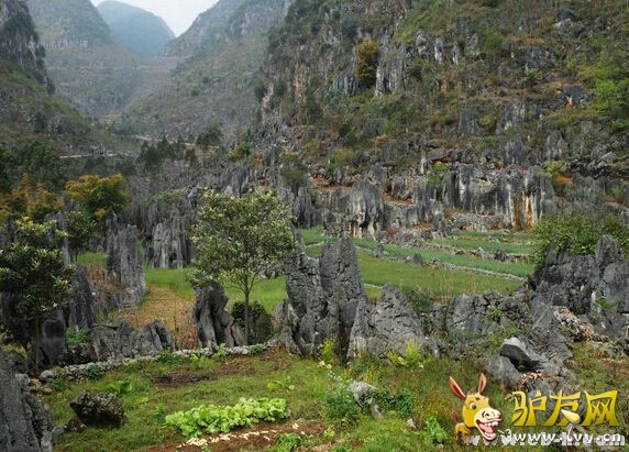 2014�й�ǭ���ϻ�����ֹ��ʳ���ͽ����ἴ����Ļ