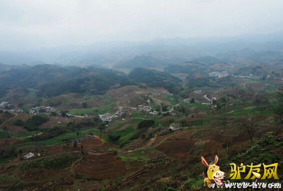 2014�й�ǭ���ϻ�����ֹ��ʳ���ͽ����ἴ����Ļ