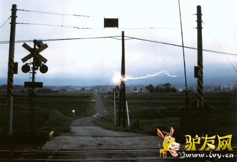 ��״����