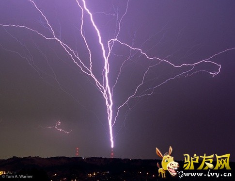 ���ҵ�����