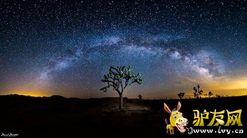 �����������ӻ�����Լ������