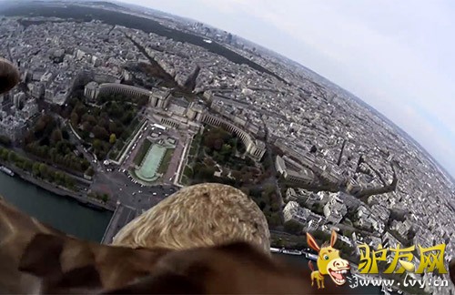 ��ӥ�ۡ�������辰�ۡ�