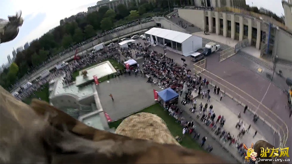 ��ӥ�ۡ�������辰�ۡ�