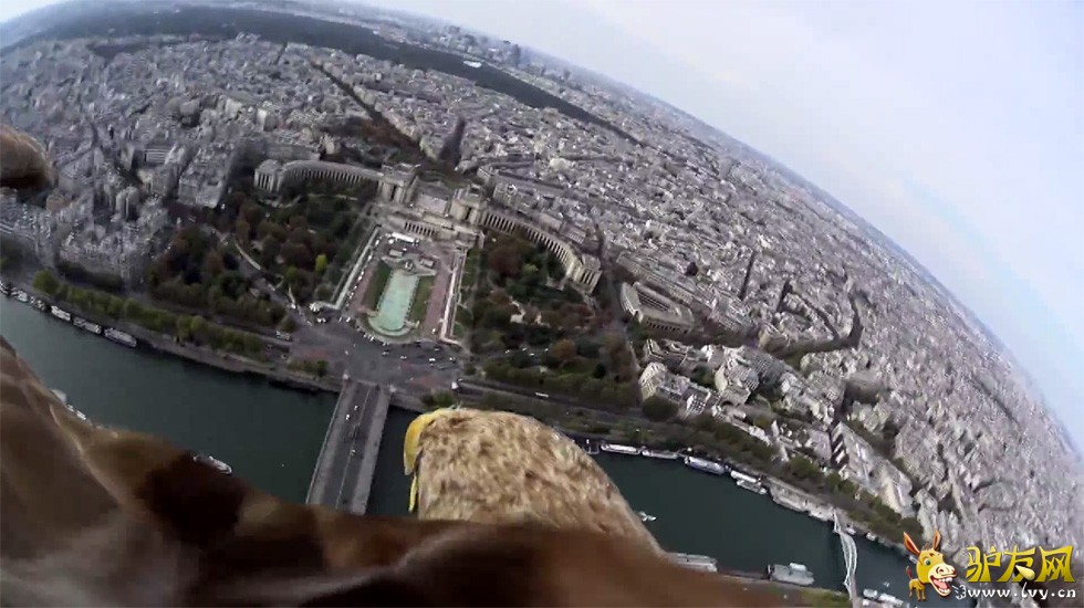 ��ӥ�ۡ�������辰�ۡ�