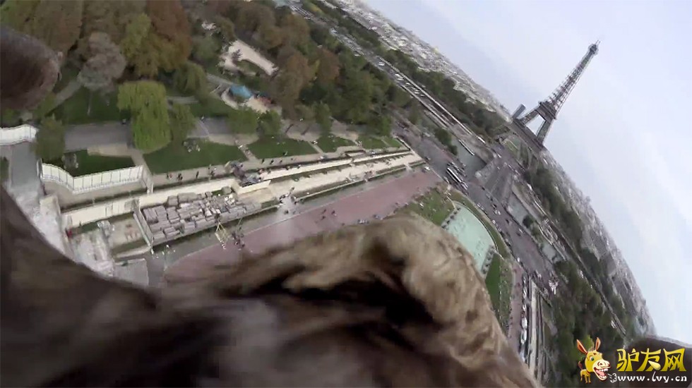 ��ӥ�ۡ�������辰�ۡ�