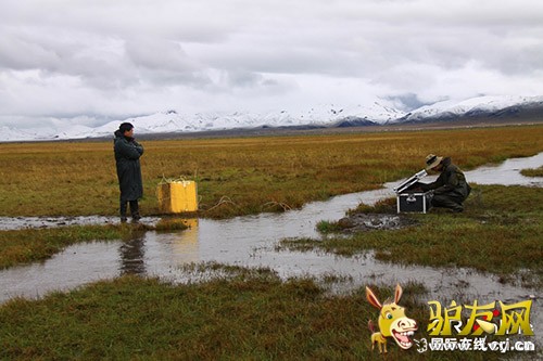 ������-�������м��վ��������Ա���ڼ����������ŷ���-��Ӱ���¼ҵ�