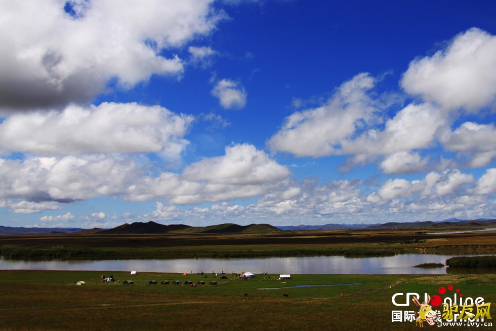 ������-�������м��վ��������Ա���ڼ����������ŷ���-��Ӱ���¼ҵ�