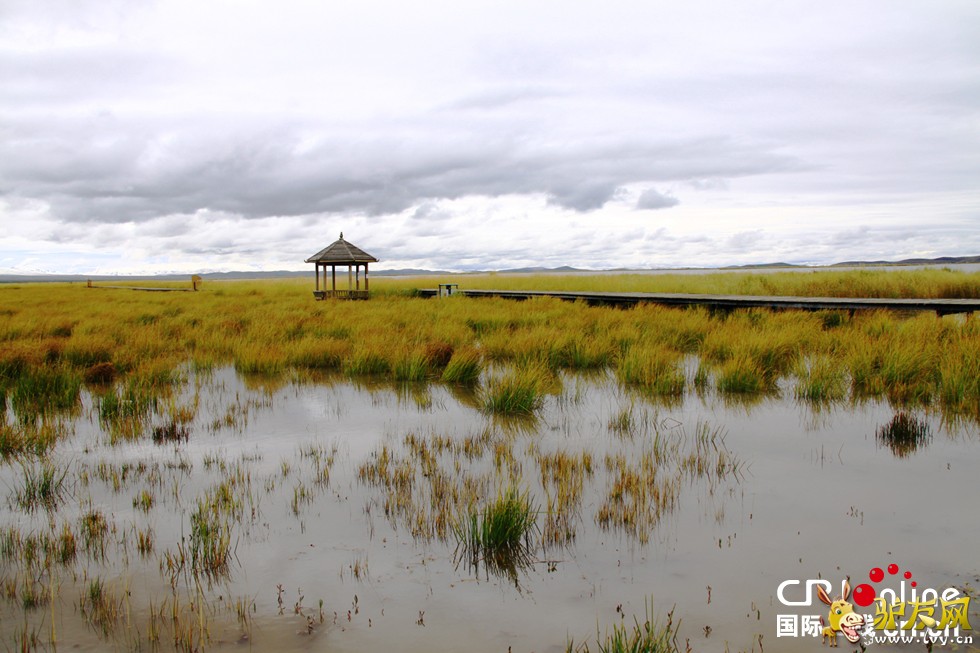 ������-�������м��վ��������Ա���ڼ����������ŷ���-��Ӱ���¼ҵ�