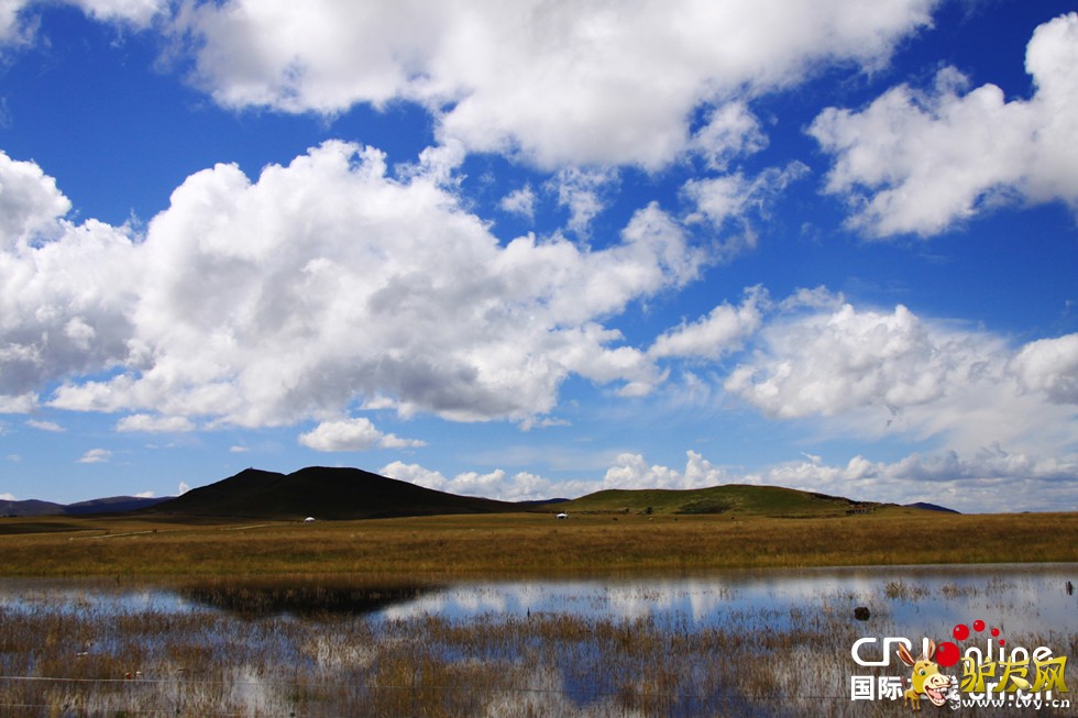 ������-�������м��վ��������Ա���ڼ����������ŷ���-��Ӱ���¼ҵ�