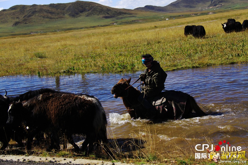 ������-�������м��վ��������Ա���ڼ����������ŷ���-��Ӱ���¼ҵ�